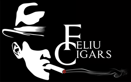 logo-footer